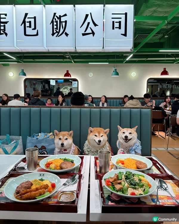 帶毛孩一齊食蛋包飯