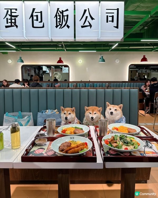 帶毛孩一齊食蛋包飯