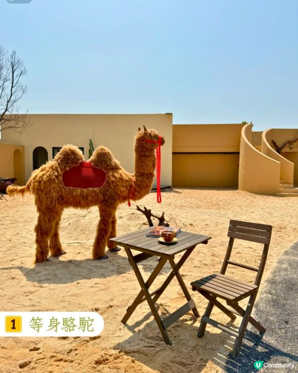 深圳新開沙漠主題Cafe🐪7大浪漫打卡位/可租借公主裙💃附環境及價錢介紹