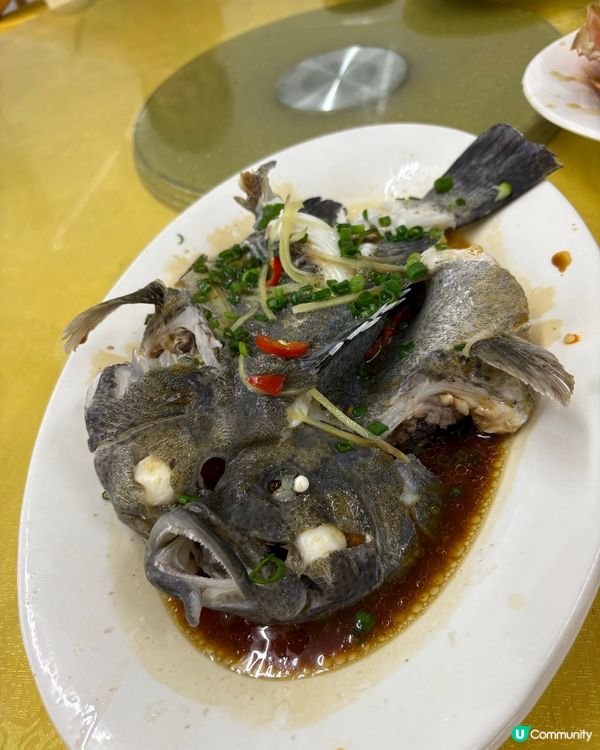 蛇口海鮮之旅🦞🦀🐟平靚正之選🤤