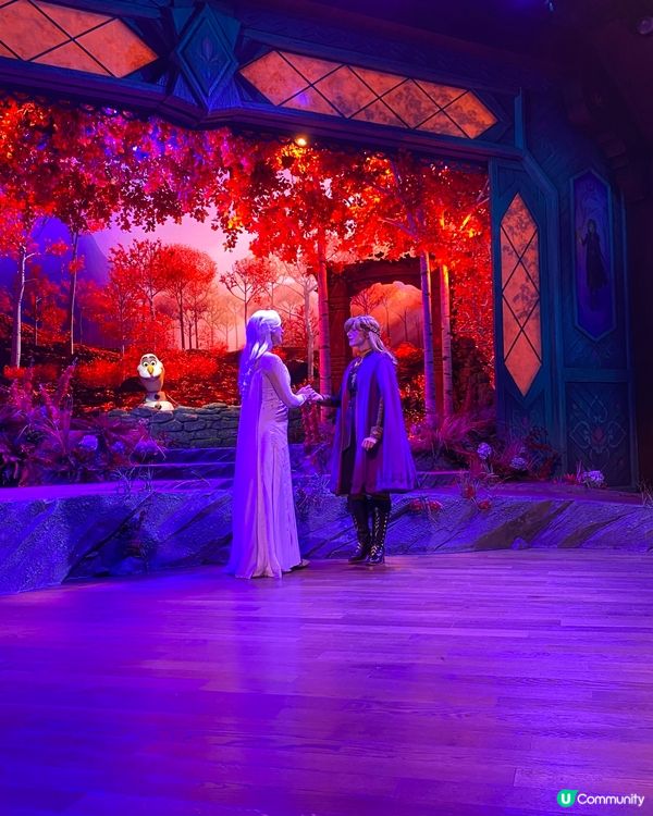 香港迪士尼冰雪奇緣劇場❄️  打卡必去！