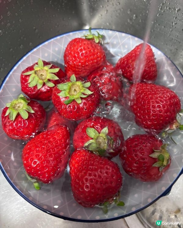 貴d但最緊要主子喜歡吃｡歡迎關注我嘅戶口､訂閱我嘅YouTu...