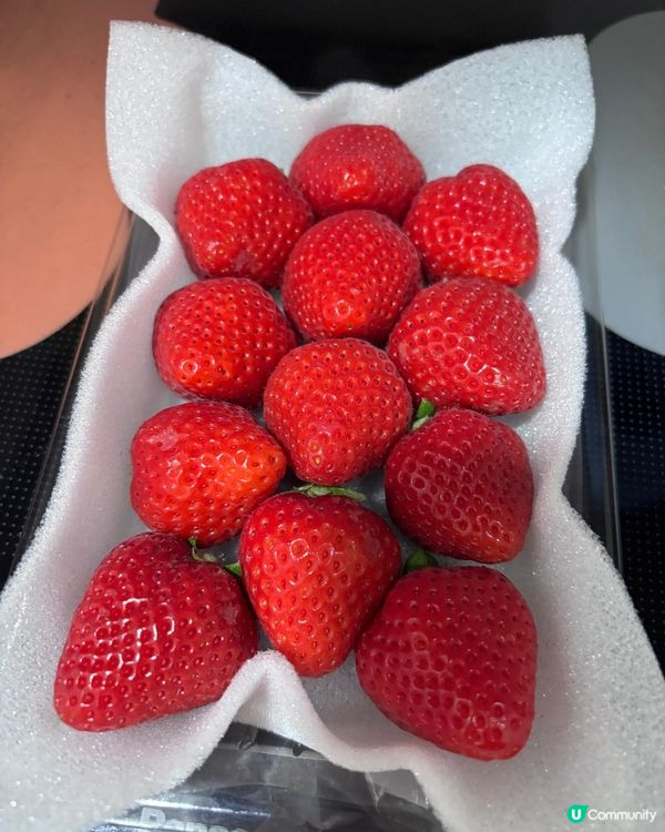 貴d但最緊要主子喜歡吃｡歡迎關注我嘅戶口､訂閱我嘅YouTu...