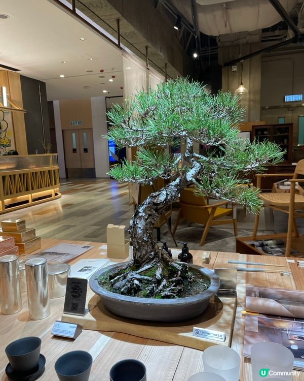 食好住好 Eat well, live well