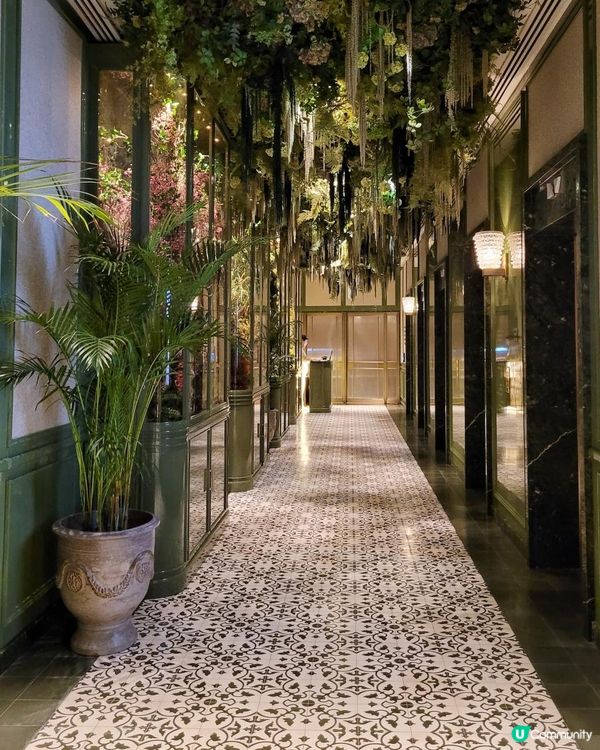 香港最具級數福建菜 @ 茗悅 ( 金鐘道港島香格里拉酒店 )