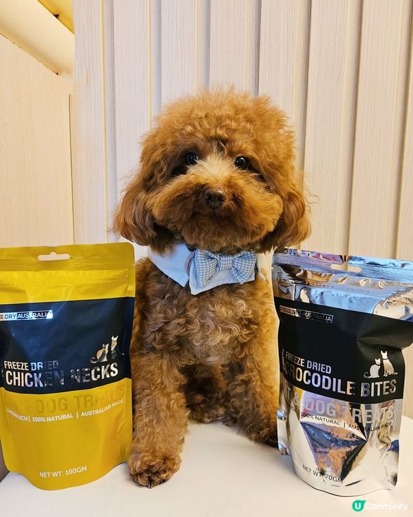 🐶 寵愛毛孩，揀零食要精明！