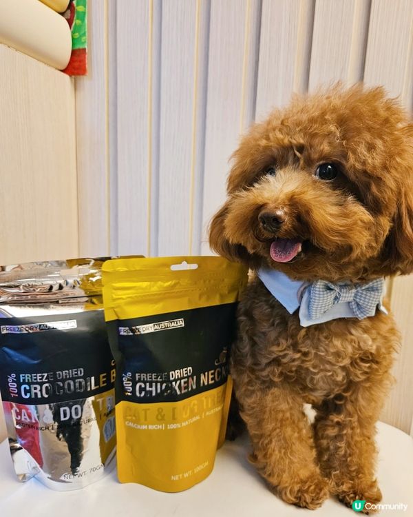 🐶 寵愛毛孩，揀零食要精明！