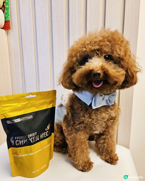 🐶 寵愛毛孩，揀零食要精明！