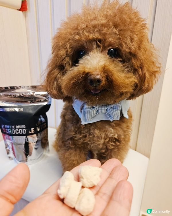 🐶 寵愛毛孩，揀零食要精明！