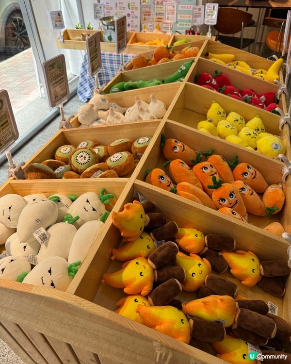 #親子好去處 👶🏻2個半鐘的沉浸式體驗工作坊