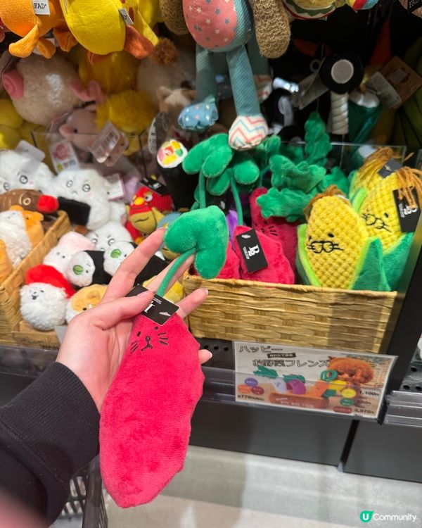 池袋寵物用品店分享～