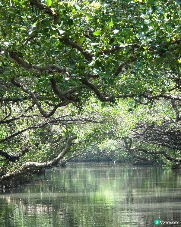 發現台南的美 食玩睇齊曬❤️👀