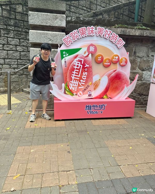 維他桃奶派發!