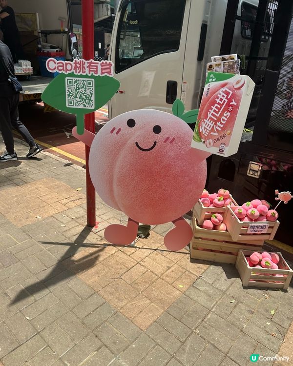 維他桃奶派發!