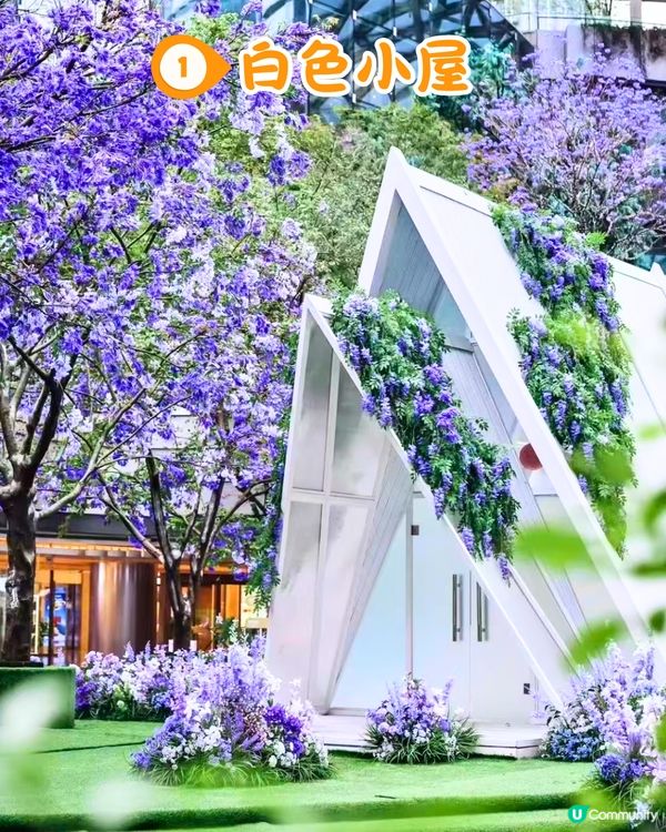 深圳萬象前海紫色歐陸庭院花海秘境💜5大打卡位‼️地鐵直達