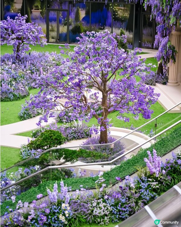 深圳萬象前海紫色歐陸庭院花海秘境💜5大打卡位‼️地鐵直達