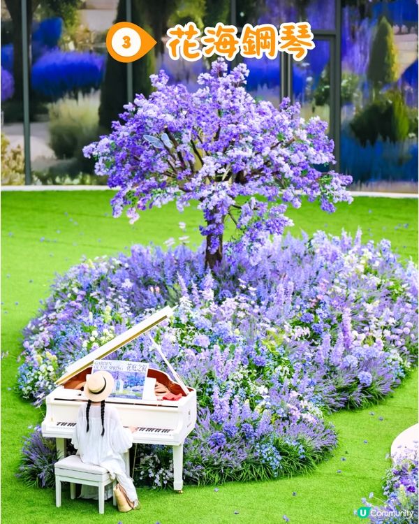 深圳萬象前海紫色歐陸庭院花海秘境💜5大打卡位‼️地鐵直達