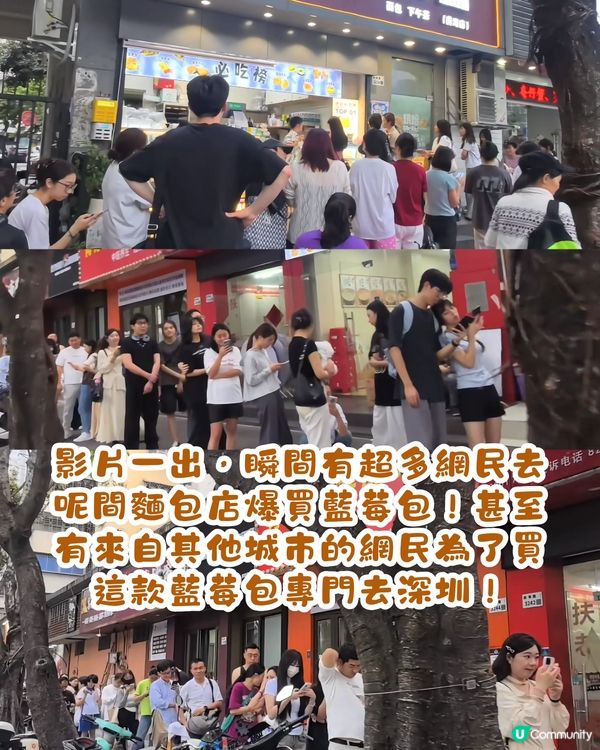 深圳近期爆紅藍莓包🫐45萬人點讚❤️店外現超長人龍😲究竟有咩咁特別？