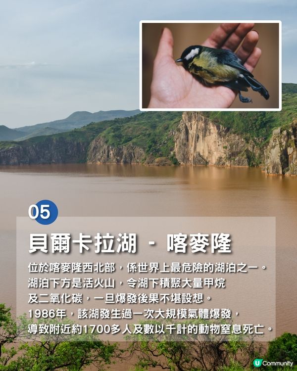 世界上最危險的8個地方☠️地獄之門燒足50年/小島藏逾5000毒蛇⁉️