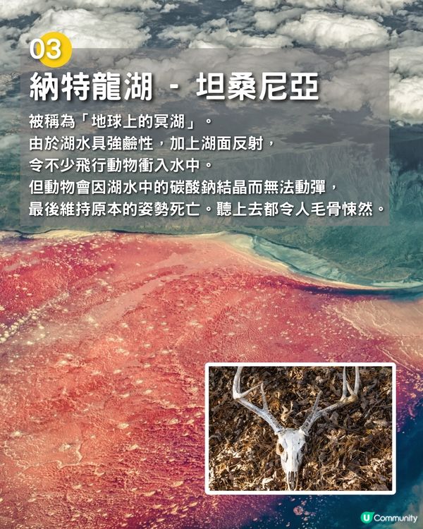 世界上最危險的8個地方☠️地獄之門燒足50年/小島藏逾5000毒蛇⁉️