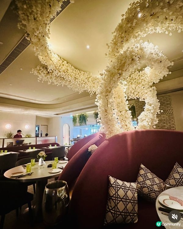 《尖沙咀·高質fusion泰菜》💫新潮中泰fusion菜💫