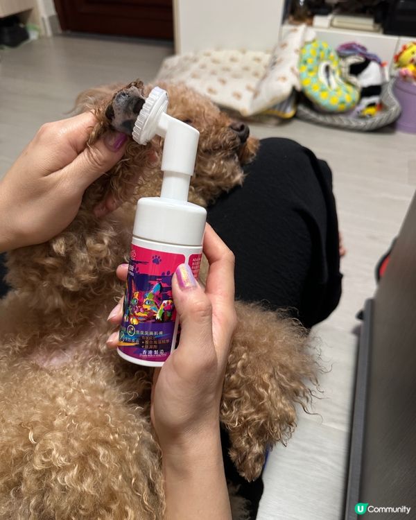 🐶🍉:今次仲試用埋 Aqua Protech嘅Pet Pet...