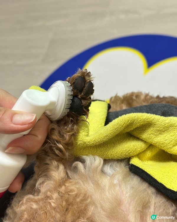 🐶🍉:今次仲試用埋 Aqua Protech嘅Pet Pet...