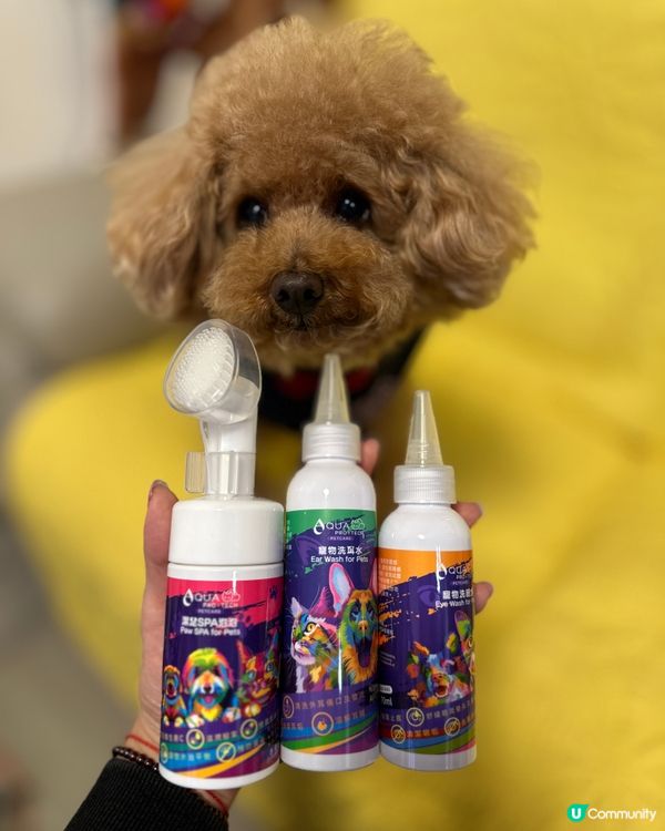 🐶🍉:今次仲試用埋 Aqua Protech嘅Pet Pet...