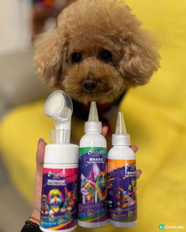 🐶🍉:今次仲試用埋 Aqua Protech嘅Pet Pet...