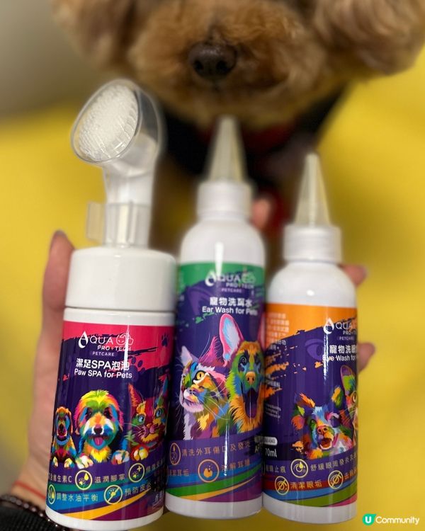 🐶🍉:今次仲試用埋 Aqua Protech嘅Pet Pet...
