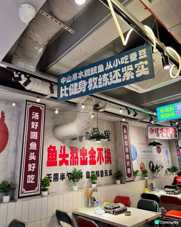 千島湖胖頭魚🐟鮮味爆燈！🤤