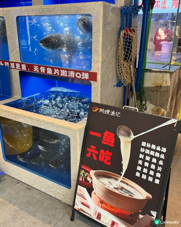 千島湖胖頭魚🐟鮮味爆燈！🤤