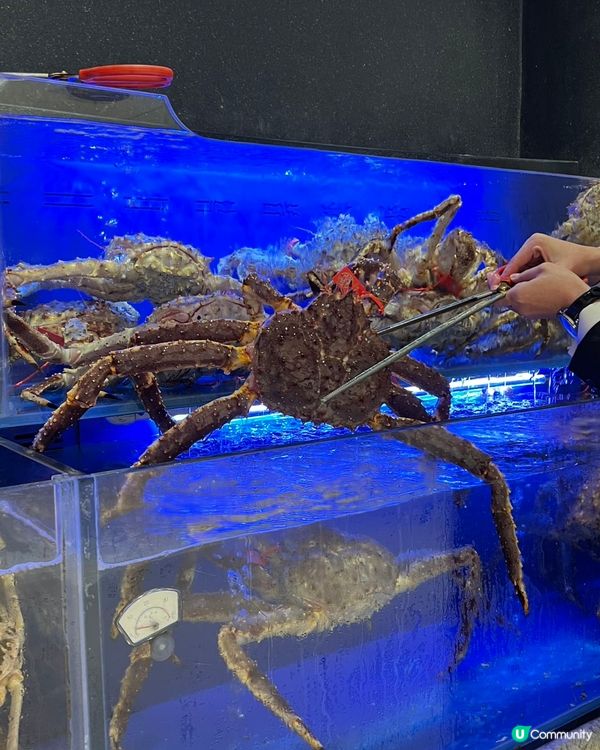 深圳蟹道🦀 食蟹天堂！性價比爆燈！