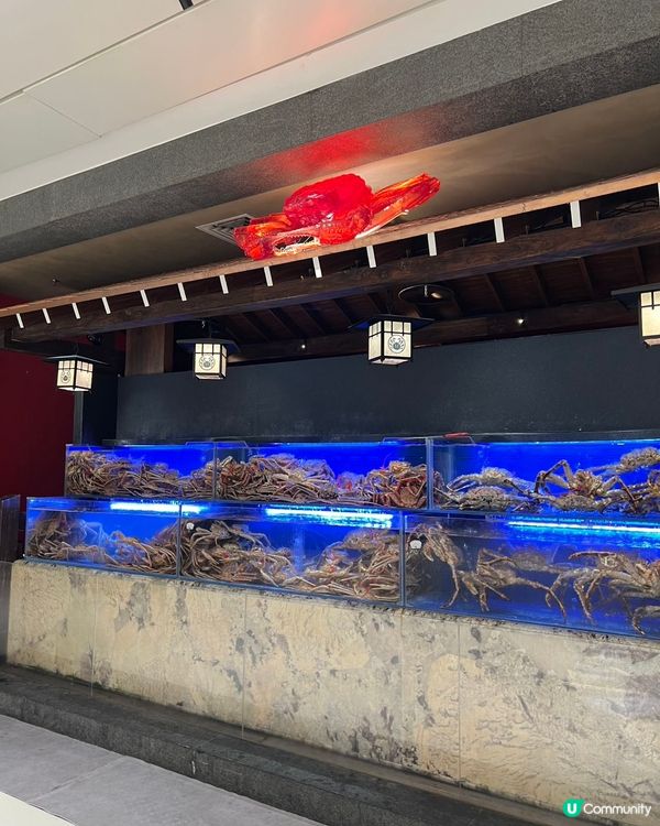 深圳蟹道🦀 食蟹天堂！性價比爆燈！