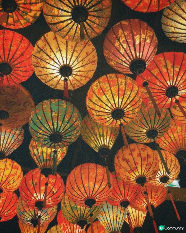 🐷🐷🐷屯門黃金海岸超高質越南菜🐷🐷🐷