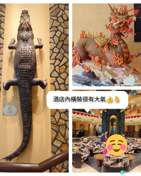 老虎出沒注意之廣州長隆3日之旅