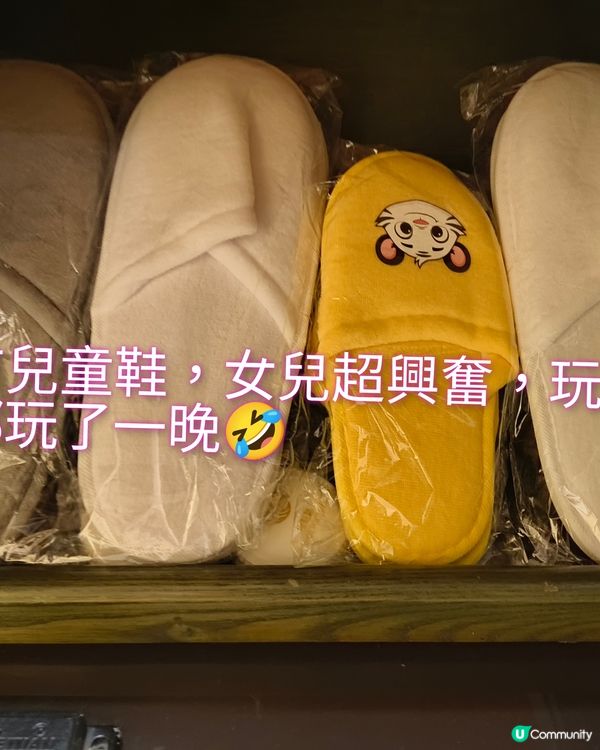 老虎出沒注意之廣州長隆3日之旅