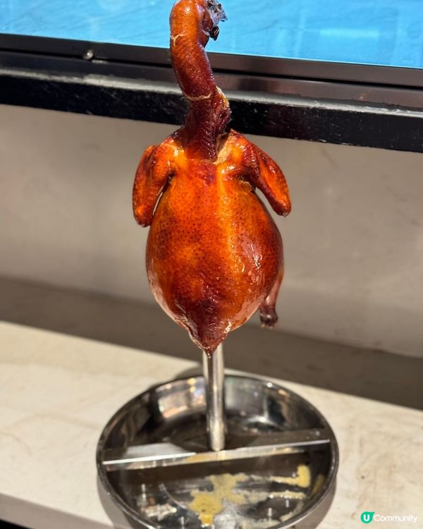 東門啫啫俠🔥 鑊氣十足，港人必食！