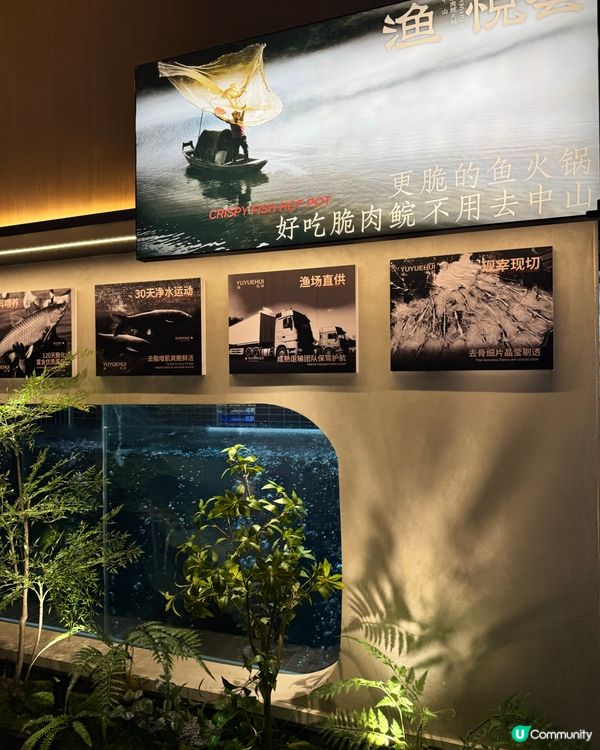 東門町必食脆鯇魚🔥  
脆鯇魚天花板，食過返尋味！🤤