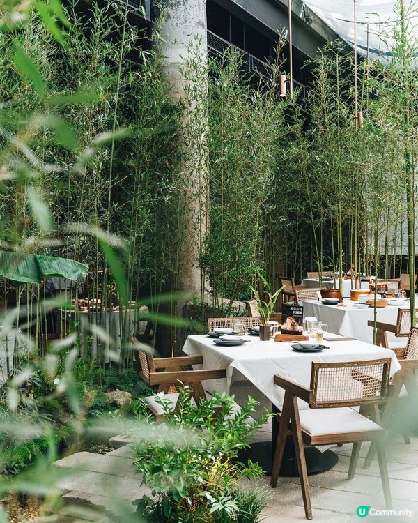 深圳玩樂攻略💥7折食神+免費展覽🤩