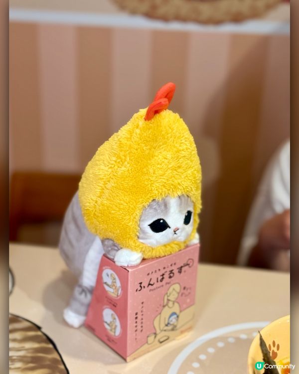 🐱富山麵家Mofusand期間限定店開張啦！🤤