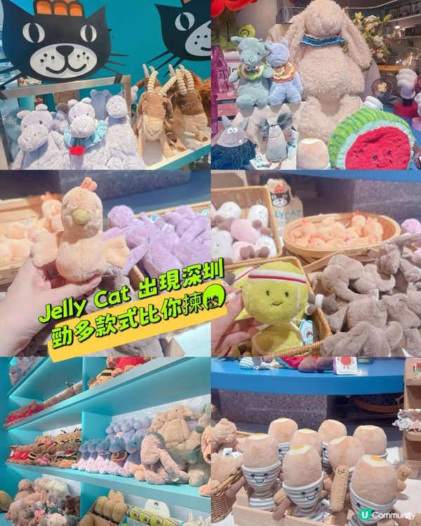 ✨Jelly Cat 岀現深圳 ✨勁多款式比你揀💥