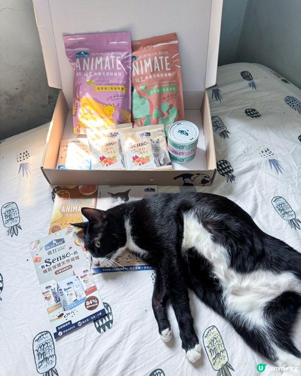 用折扣碼「pour」全站Bluebay產品還享有9折優惠