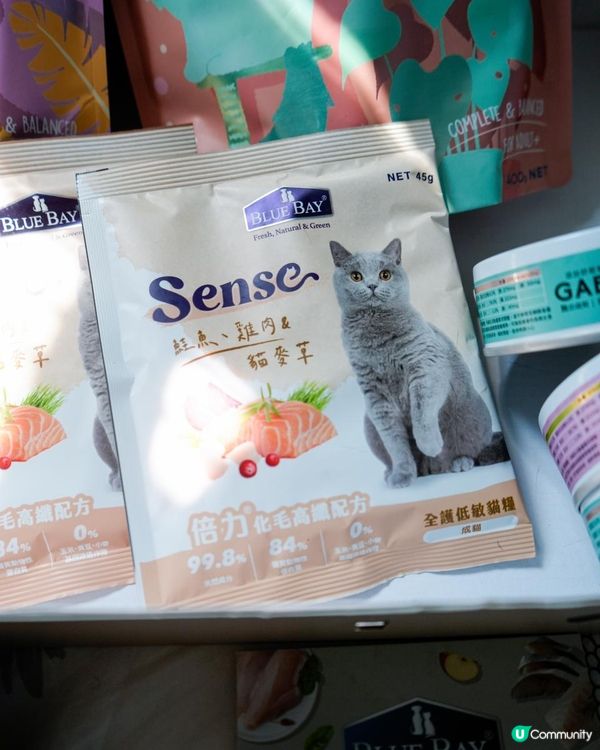 用折扣碼「pour」全站Bluebay產品還享有9折優惠