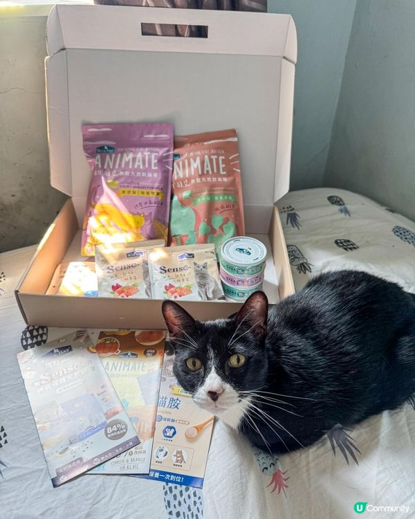 用折扣碼「pour」全站Bluebay產品還享有9折優惠