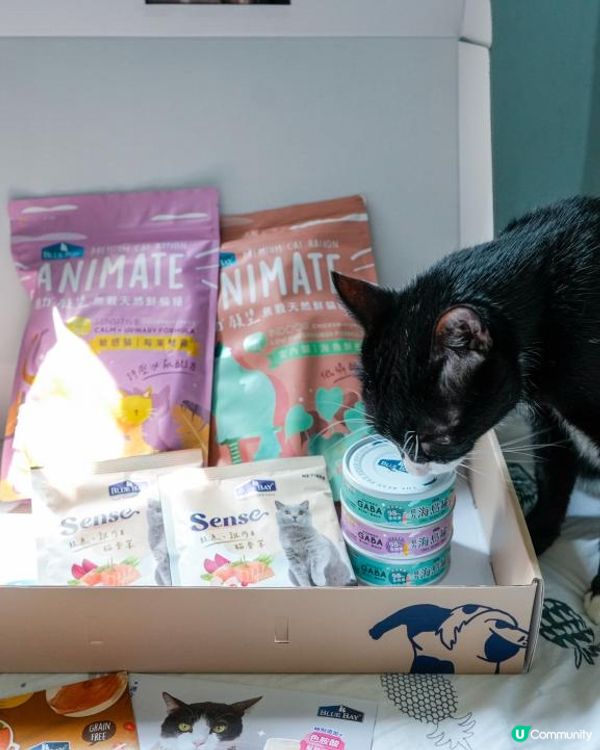 用折扣碼「pour」全站Bluebay產品還享有9折優惠