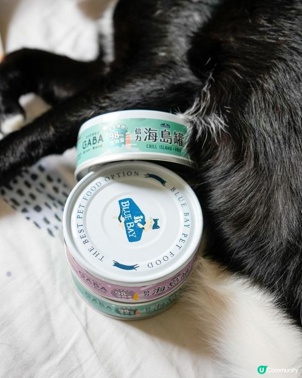 用折扣碼「pour」全站Bluebay產品還享有9折優惠