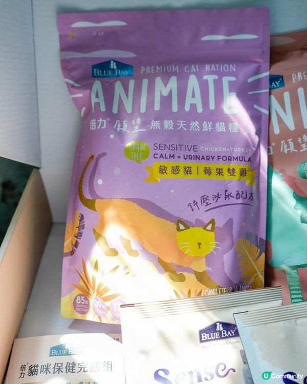 用折扣碼「pour」全站Bluebay產品還享有9折優惠