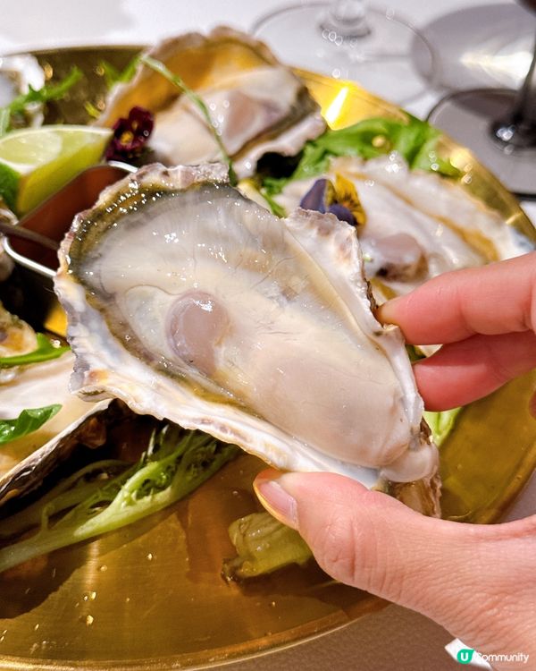 蠔迷必試！🦪 大富蠔任食盛宴🤩