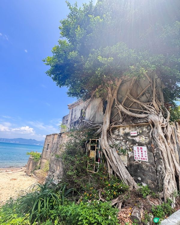 香港最東北的島嶼🏝️